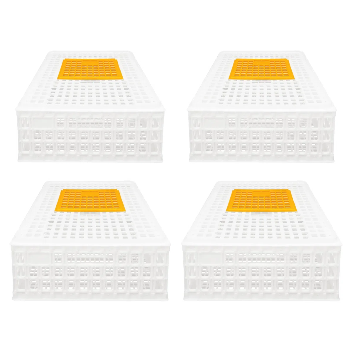 WooDerson Lot de 4 cages de transport en plastique pour poules, oiseaux, canards (blanc)