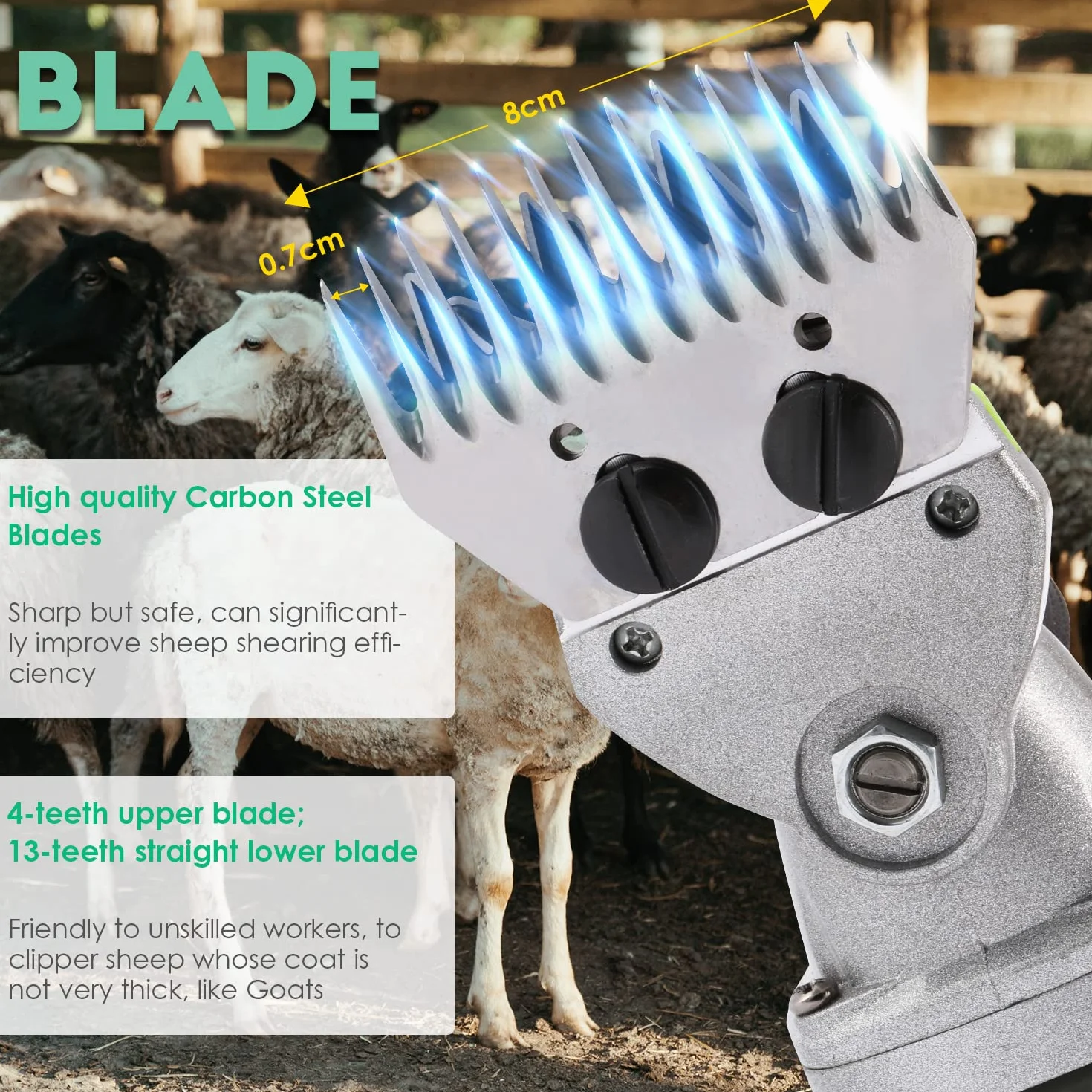 CGOLDENWALL Tondeuse Mouton Électrique 850 W 6 Vitesse Réglable Professionnelle pour Raser Les Moutons Animaux Laines Chèvres 220 V CE Avec Lubrifiant (9 droites+9 courbes+13 droites+13 courbes)