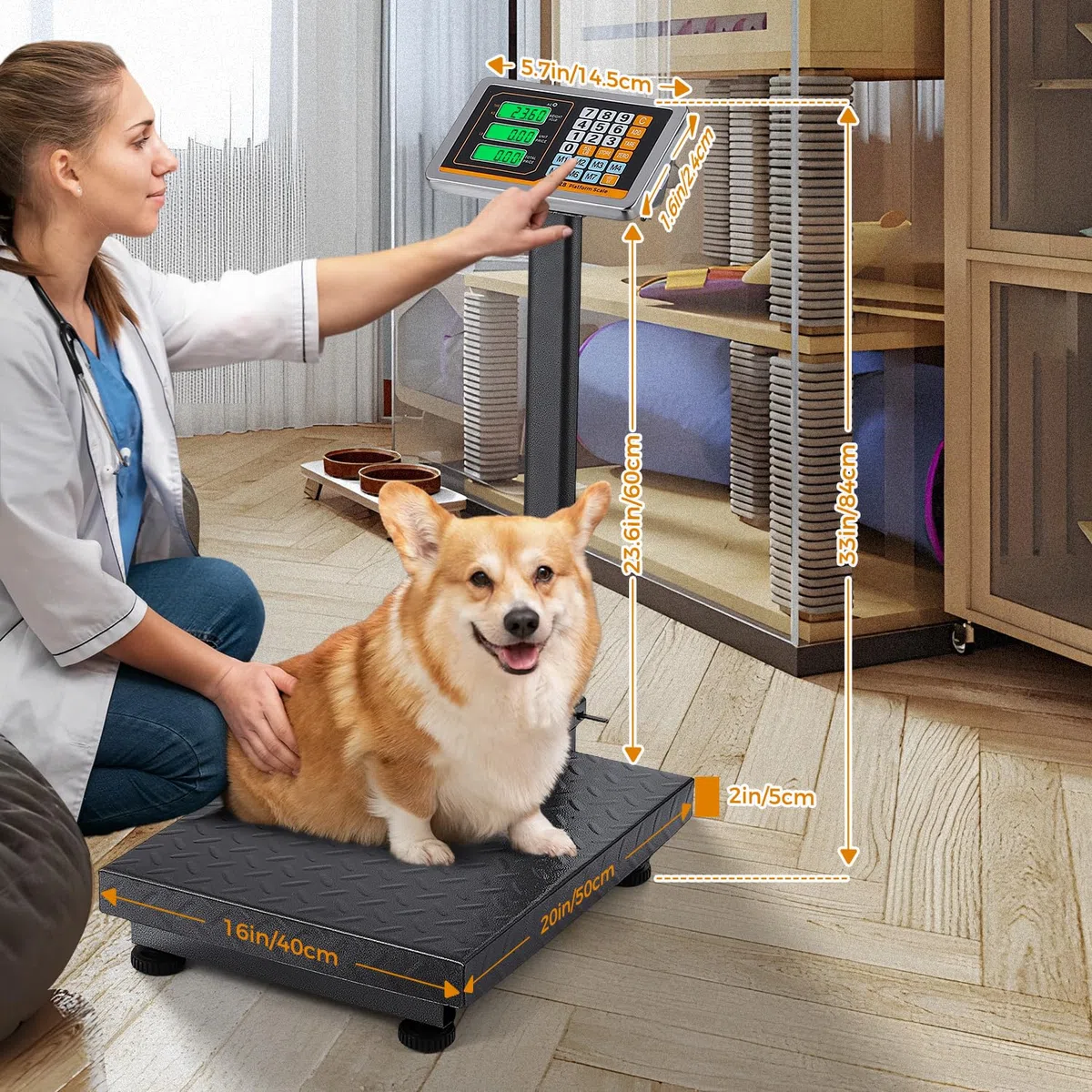 Bonvoisin Balance Plateforme Industrielle 300kg/0.1kg - Balance Lourde Numérique pour Colis avec Plateau 45x40cm, Conversion KG/LB, Écran LCD, Roulettes& Pieds Réglables, Alimentation Secteur/Batterie