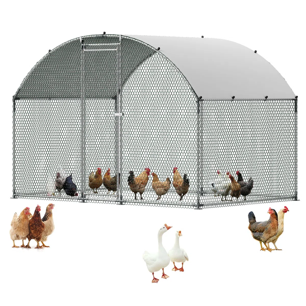 VEVOR Enclos Poulailler Métal 3 x 2 x 2 m Parc à Poules Grillagé avec Couverture, Verrou de Sécurité, Toit en Dôme, Grande Cage Extérieure pour Poules, Canards, Lapins, Volailles, de Jardin, Ferme | Parc Grillagé pour Poules, Canards, Lapins, Volailles, C
