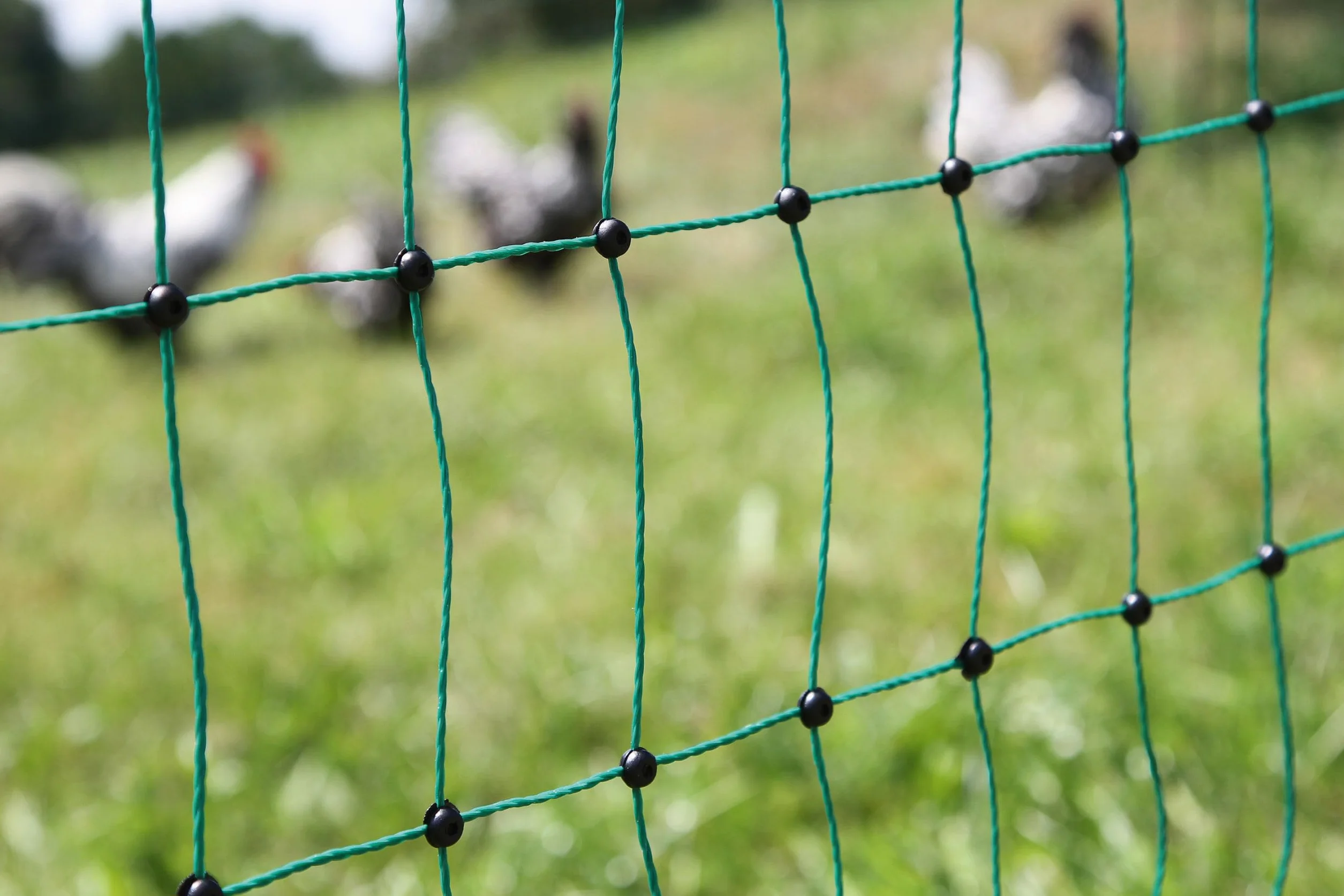Kerbl Hobbyfarming PoultryNet, 106 cm, 50 m, Filet pour volailles, Filet de clôture, impuissant, Simple Pointe, Vert, 15 piquets, Poules, oies, dindes, Garantie 3 Ans Contre Les UV