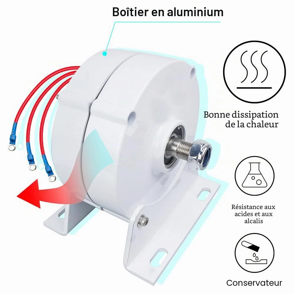 Générateur magnétique permanent 600 W 12 V, 24 V, 48 V, 750 tr/m, 3 phases, sans engrenage, générateur de courant alternatif, terre rare NdFeB, moteur électrique, éolienne, avec redresseur