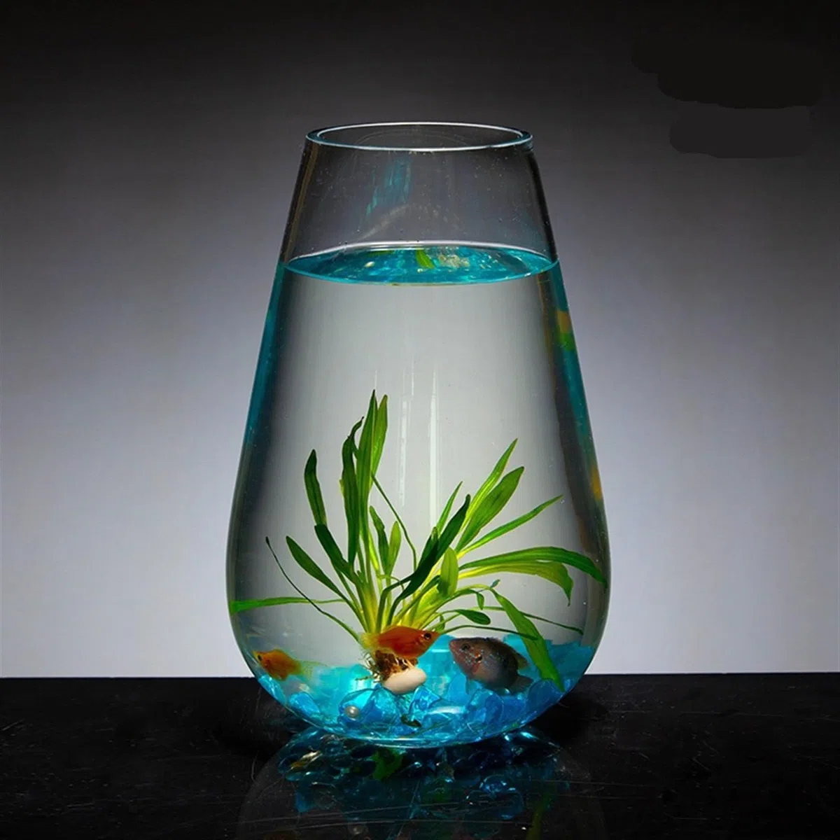 Aquarium, réservoir à poissons, Grand aquarium cylindrique en verre for poissons rouges, petit aquarium, ornements Aquascape, vase de bureau en verre transparent, bol à poissons