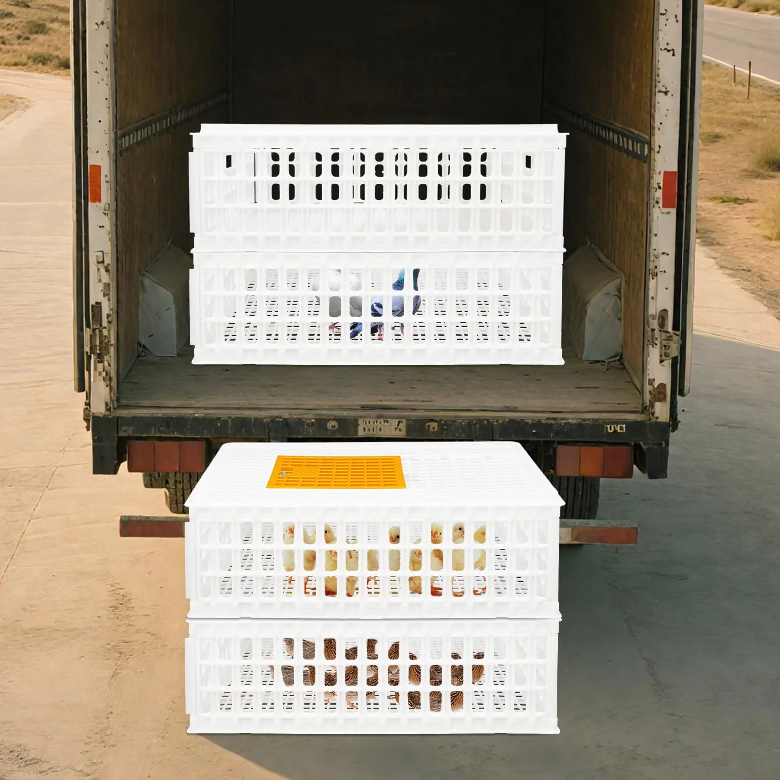 WooDerson Lot de 4 cages de transport en plastique pour poules, oiseaux, canards (blanc)