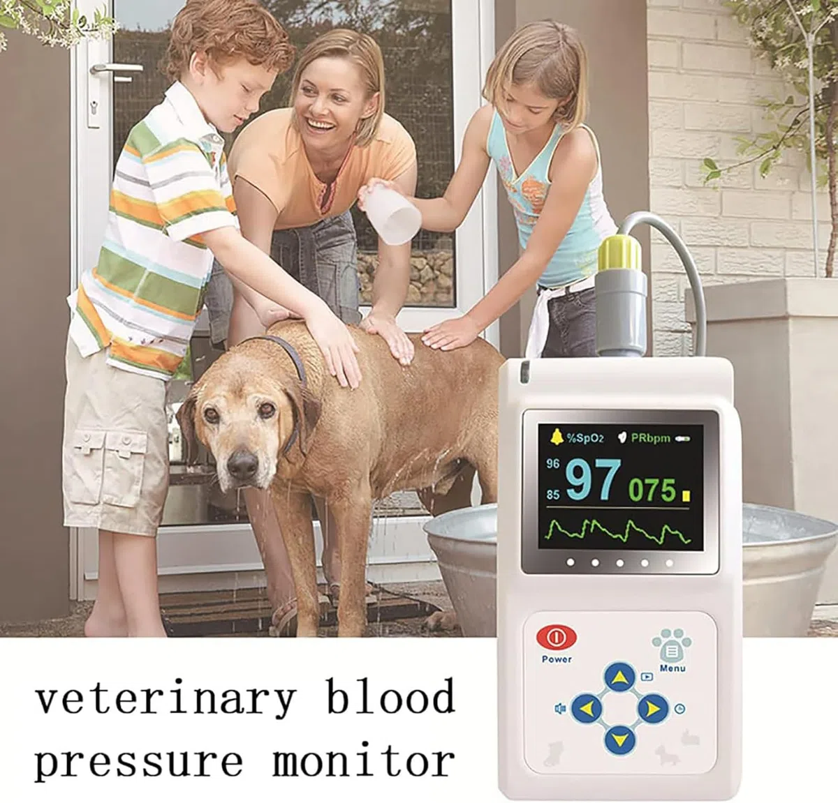 OxymèTre De Pouls VéTéRinaire, Capteur De FréQuence Cardiaque Auriculaire/Langue Avec Sonde Spo2, Fonction De Stockage Et De Lecture, Invite Sonore, Pour Chiens, Chats, Animaux De Compagnie